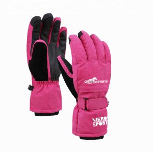 Winter Gloves